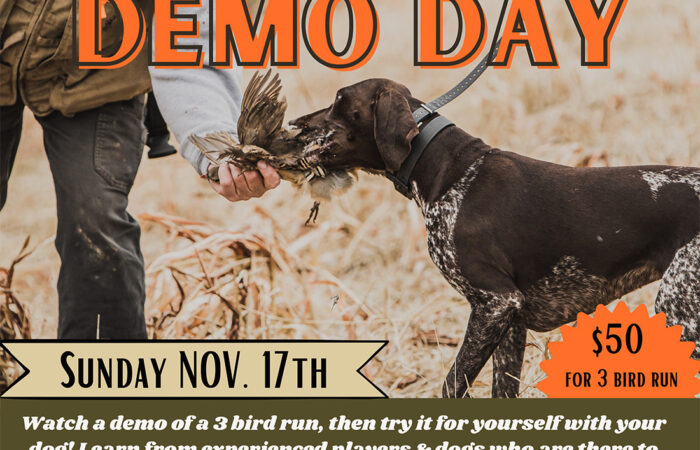 GDC Demo Day; Sunday Nov. 17th