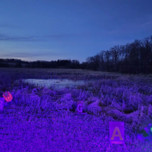 The cosmic clays set up over a pond.