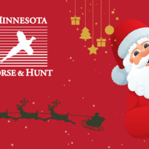 Santa and santa's sleigh with reindeer