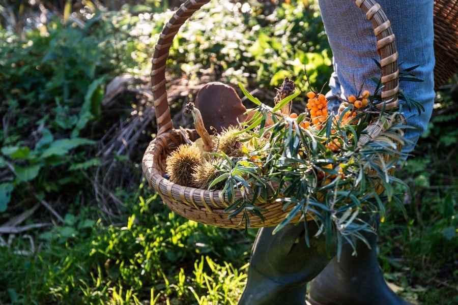 Spring Foraging Dinner – May 19th