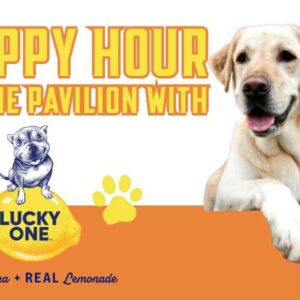 Yellow lab dog, bulldog and lemon lucky one logo.