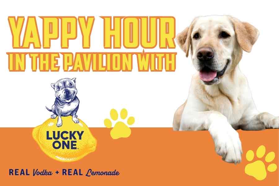 Yappy Hour in the Pavilion